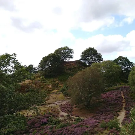 Nyaraló 8 Person In Gjern-by Traum Gjern