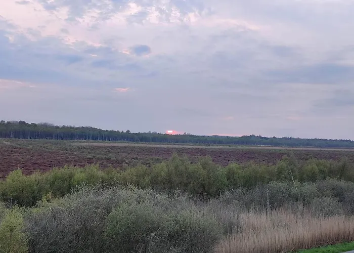 8 Person In Gjern-by Traum Prázdninový dům